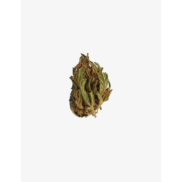 Banana 5 Gr