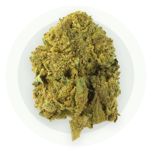 Lemon Haze Small Bud