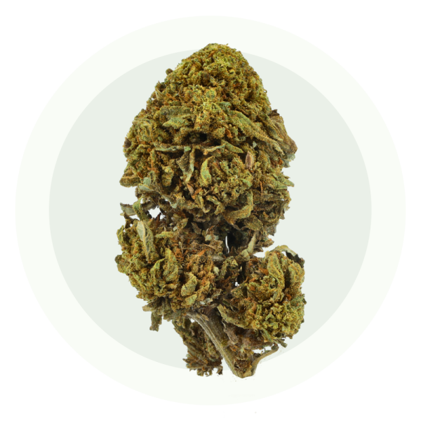 Gorilla - Fleurs CBD