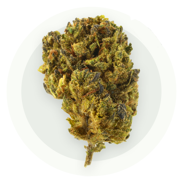 Power MegaForce OG