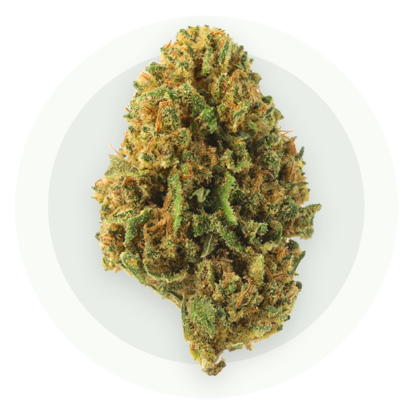Jamaican Dream Small Bud