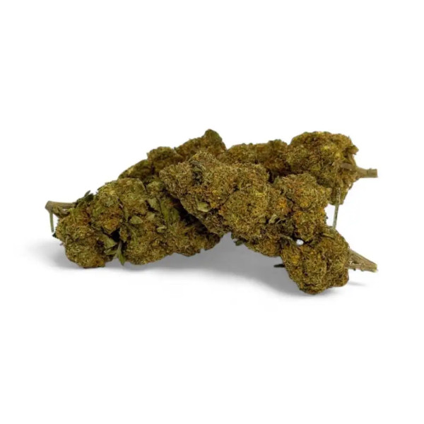 Fleur CBD Critical+ Greenhouse