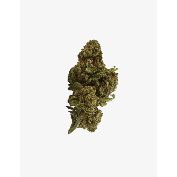 Critical+ 2.0 CBD
