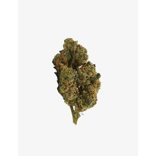 Plutonium CBD