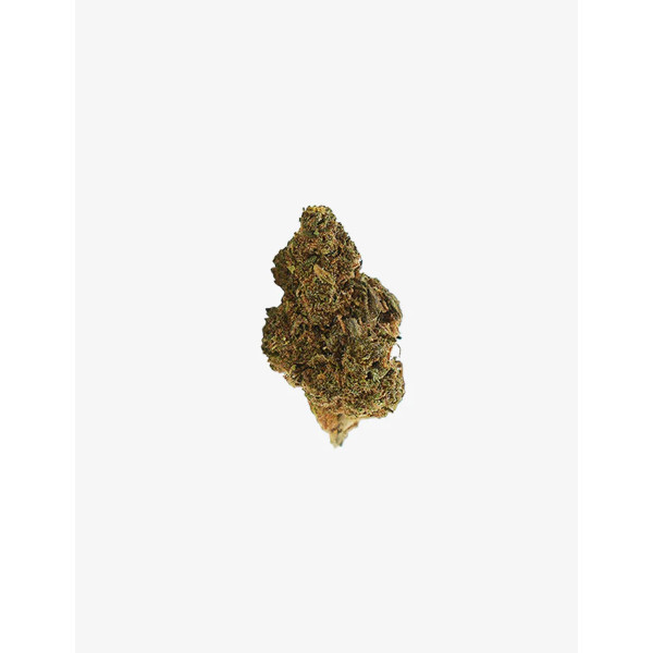Amnesia 5 Gr